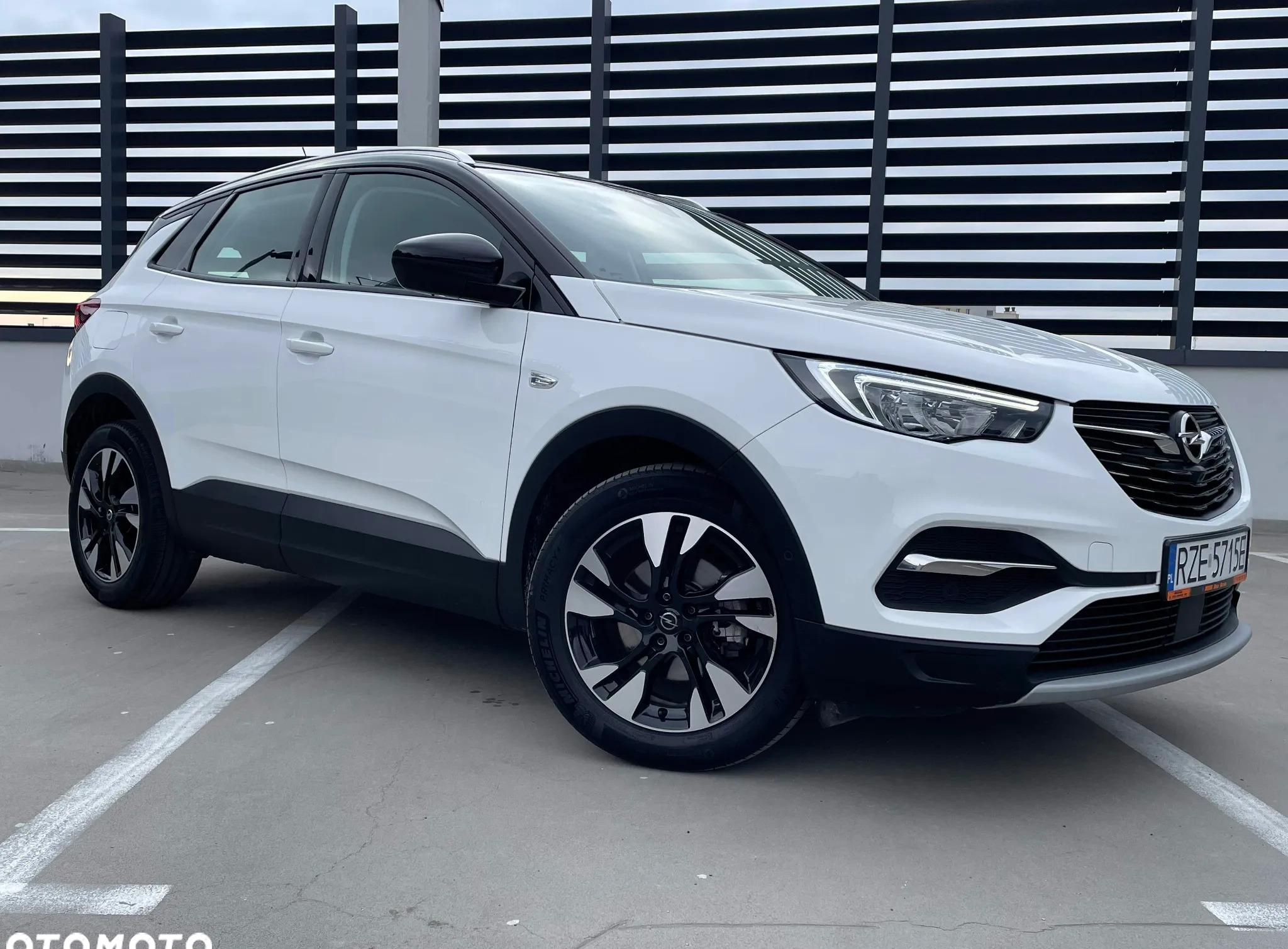 Opel Grandland X cena 89900 przebieg: 45200, rok produkcji 2021 z Rzeszów małe 704